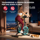 Cyclette Stazionaria C1, Volano 6KG