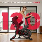 Cyclette Stazionaria C1, Volano 6KG