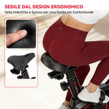 Cyclette Stazionaria C1, Volano 6KG