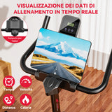Cyclette Stazionaria C1, Volano 6KG